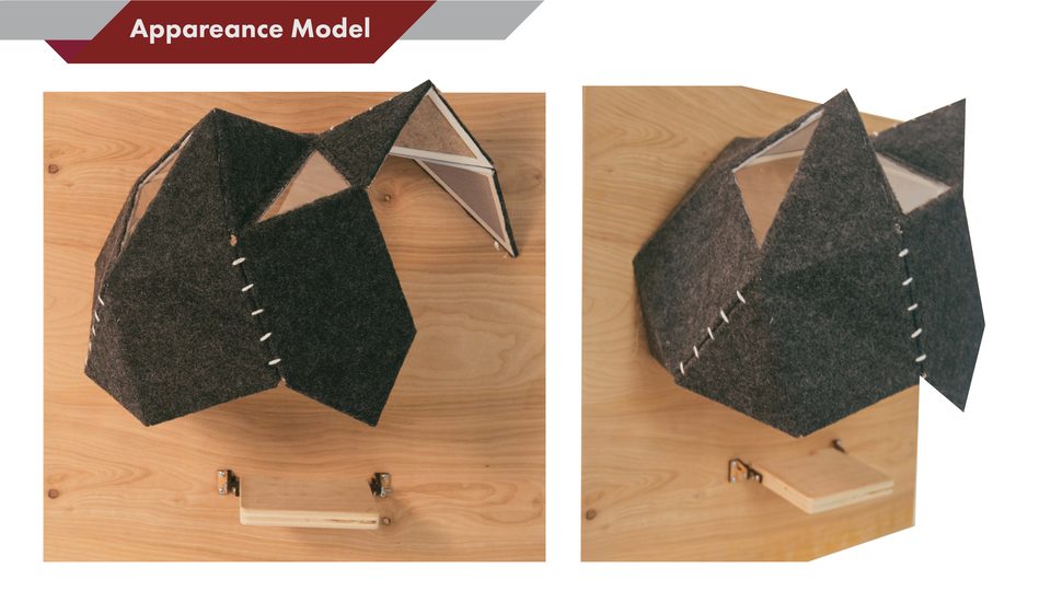 Appearance model — wood and felt