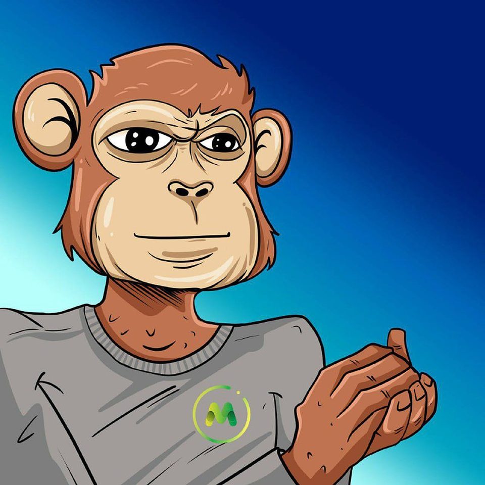 MonkeyFi: Portrait — the slow clap