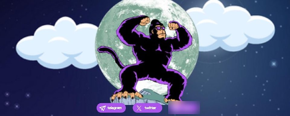 Launch Landing Pages: Gorilla page — mobile hero with moon and clouds